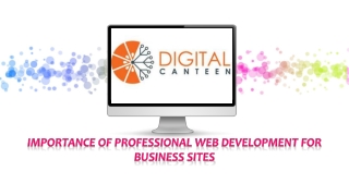 Importance of Professional Web Development for Business Sites