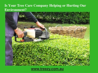 Is your tree care company helping or hurting our environment