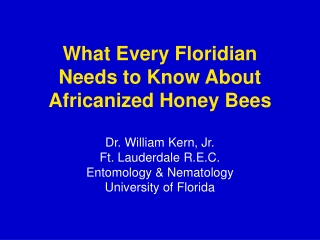 What Every Floridian Needs to Know About Africanized Honey Bees