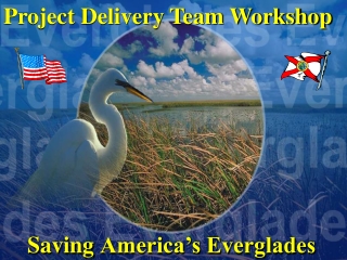 Saving America’s Everglades