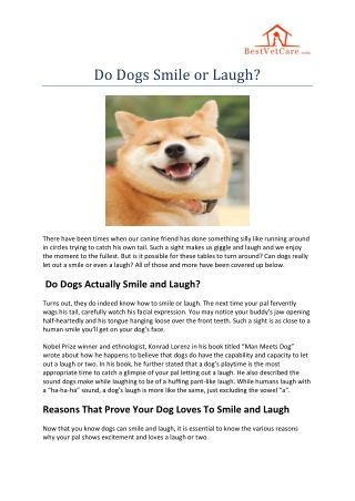 Do Dogs Smile or Laugh?