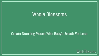 Add Stunning Bulk Baby's Breath Wholesale in Your Special Floral Arrangements