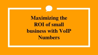 Maximizing the ROI of small business with VoIP Number