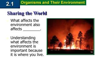 Section 2.1 Summary – pages 35 - 45