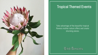 Create Lovely Arrangements with Protea Flower