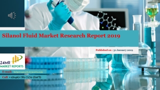 Silanol Fluid Market Research Report 2019