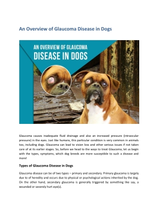 An Overview of Glaucoma Disease in Dogs