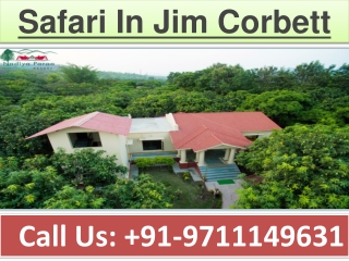 Safari In Jim Corbett