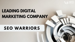 Best Digital Marketing Company in India - SEO Warriors