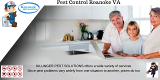 Pest Control Roanoke VA | Termite Control Roanoke VA | Exterminator Roanoke VA