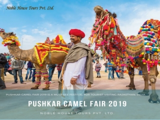 Pushkar camel Fair 2019