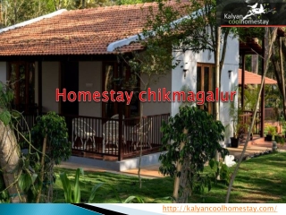 Homestay Chikmagalur