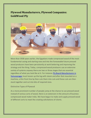 Plywood Manufacturers, Plywood Companies: GoldWood Ply