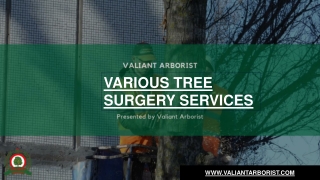 Various tree surgery services 2019
