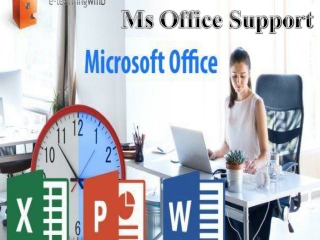 MS Support Nummer 49-800-181-0338