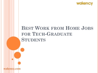 Best Work from Home Jobs for Tech-Graduate Students