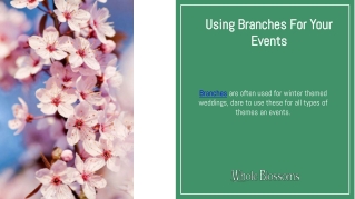 Get Wholesale Cherry Blossoms Branches for Special Occasions