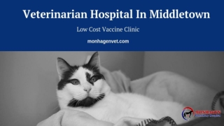 Veterinarian Hospital In Middletown – Monhagen Vet Hospital