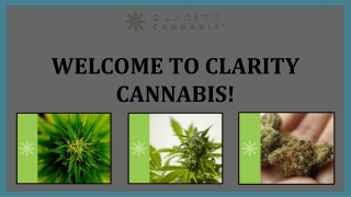 Buy Cannabis Seeds in Canada | Clarity Cannabis