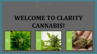 Buy Cannabis Seeds in Canada | Clarity Cannabis