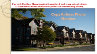 Best Offers For Flight Booking & Get 30% Off At Copa Airlines Phone Number