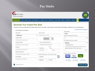 Pay Stub Generator