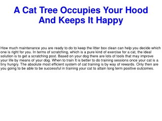 A Cat Tree Occupies Your Hood And Keeps It Happy