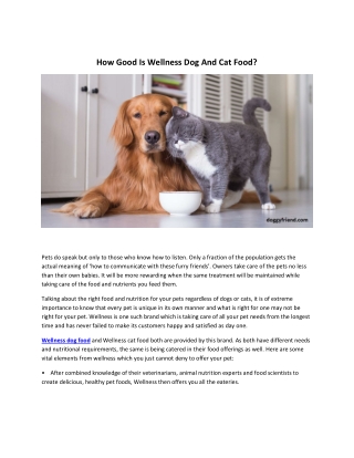 How Good Is Wellness Dog And Cat Food?