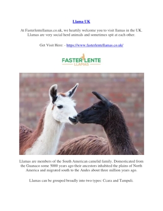 Visit Llamas