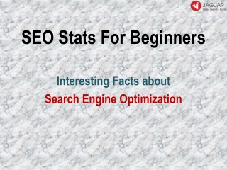 SEO Stats For Beginners