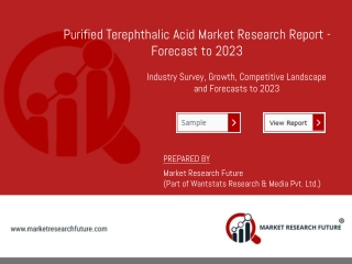 Purified Terephthalic Acid Market Growth Trends, Cost Structure, Driving Factors and Future Prospects 2023