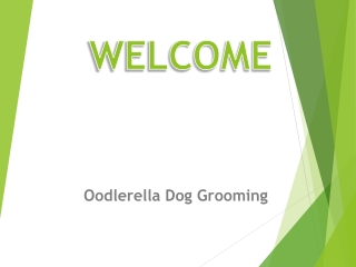 Affordable Dog Grooming in Highett