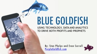 Blue Goldfish - Using Technology, Data and Analytics to Drive Both Profits and Prophets
