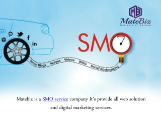 Matebiz India - SMO Service best for Website Promotion