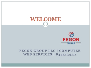 Fegon Group LLC | Computer Web Services | 8445134111