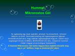 Hummel Mikrorostos G l