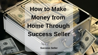 How to Make Money from Home Through Success Seller