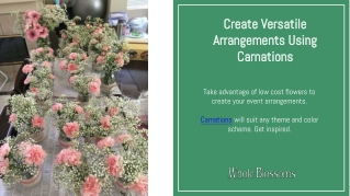 Get Interesting Ways to Use Carnation Flowers for Wedding Decor