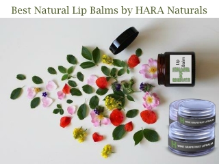 Hara Naturals Lip Balm: Many Benefits with The Easiest Way To Use to Get the Quickest Result