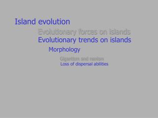 Island evolution