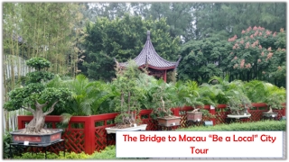 The Bridge to Macau “Be a Local” City Tour