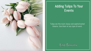 Whole Blossoms- Add Bulk Tulips to Your Event