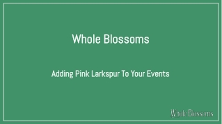 Get Pink Larkspur Filler Flowers for Special Events