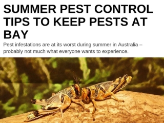 Summer Pest Control Tips To Keep Pests At Bay