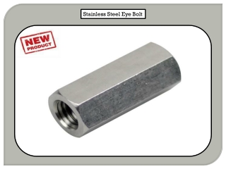 Stainless Steel Eye Bolt