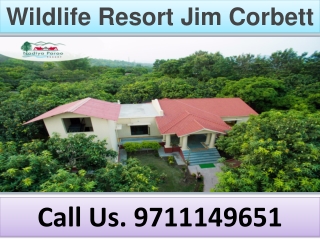 Wildlife Resort Jim Corbett