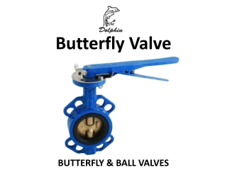 Butterfly Valve