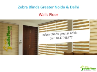 Zebra Blinds Greater Noida & Delhi