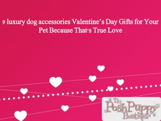 9 luxury dog accessories Valentine’s Day Gifts for Your Pet Because That's True Love