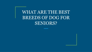 WHAT ARE THE BEST BREEDS OF DOG FOR SENIORS?